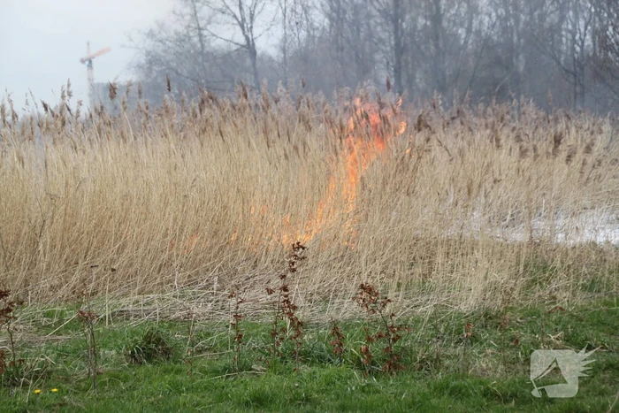 brand meridiaanpad almere