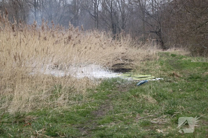 Stuk riet Meridiaanpark in brand