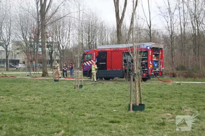 Stuk riet Meridiaanpark in brand