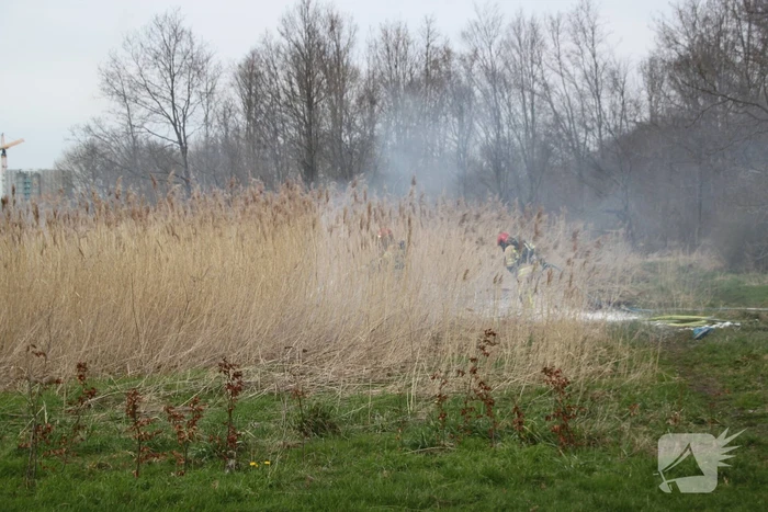 Stuk riet Meridiaanpark in brand