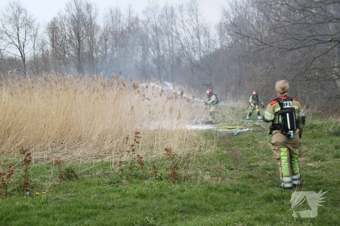 Stuk riet Meridiaanpark in brand