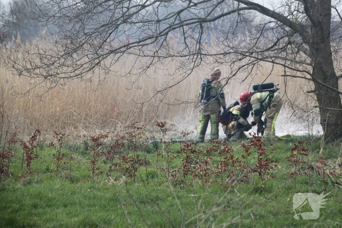 Stuk riet Meridiaanpark in brand