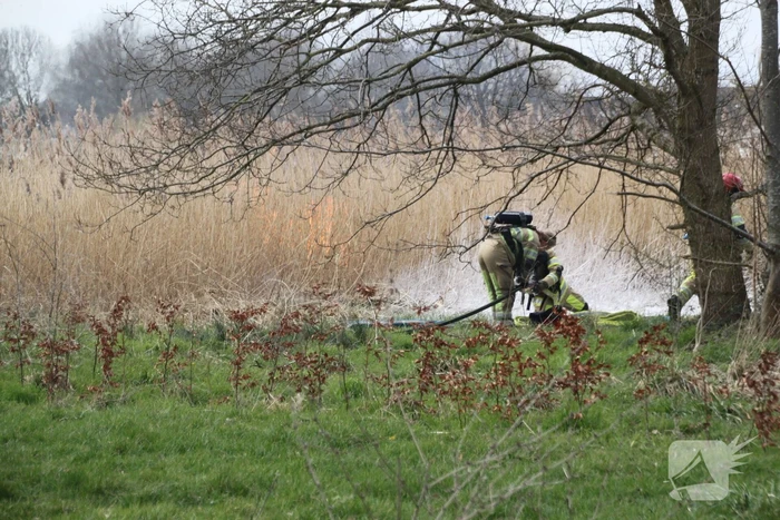 Stuk riet Meridiaanpark in brand
