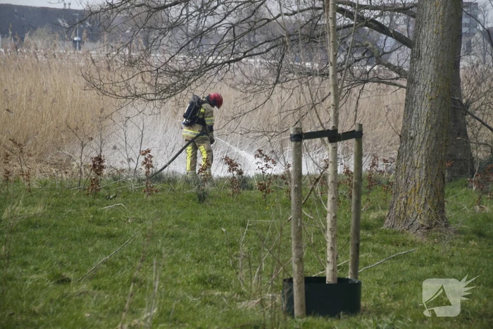 Stuk riet Meridiaanpark in brand