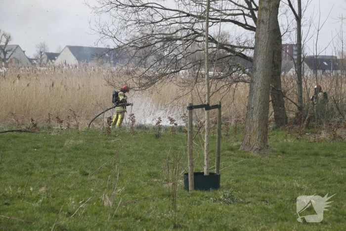 Stuk riet Meridiaanpark in brand