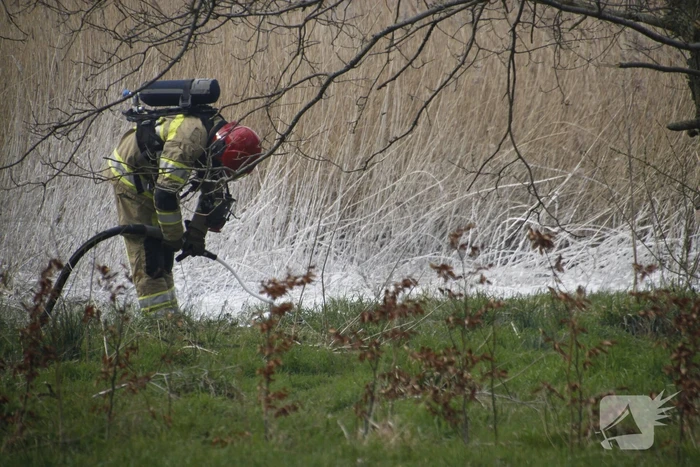 Stuk riet Meridiaanpark in brand