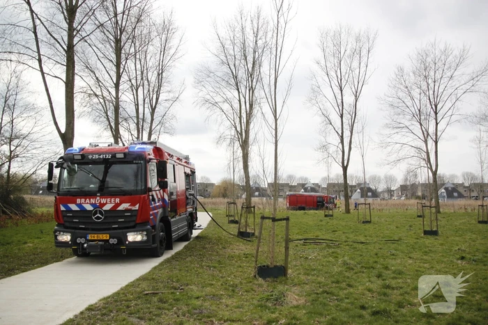 Stuk riet Meridiaanpark in brand