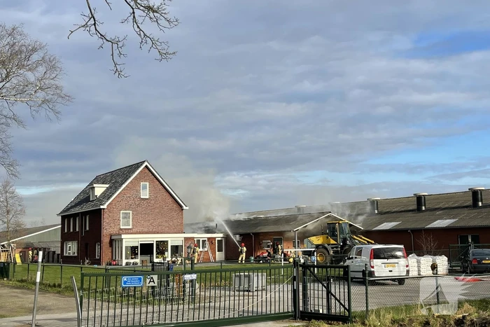 Grote brand in varkensstal