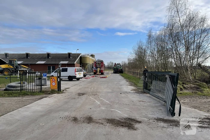 Grote brand in varkensstal