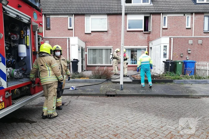 brand piccolo rotterdam