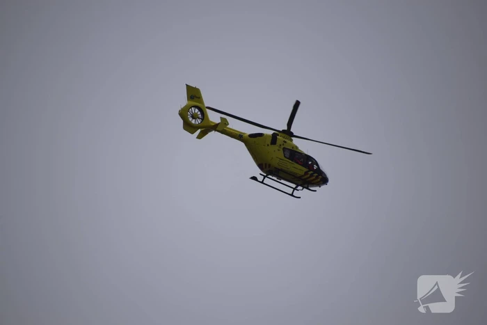 Twee gewonden bij bijtincident met hond