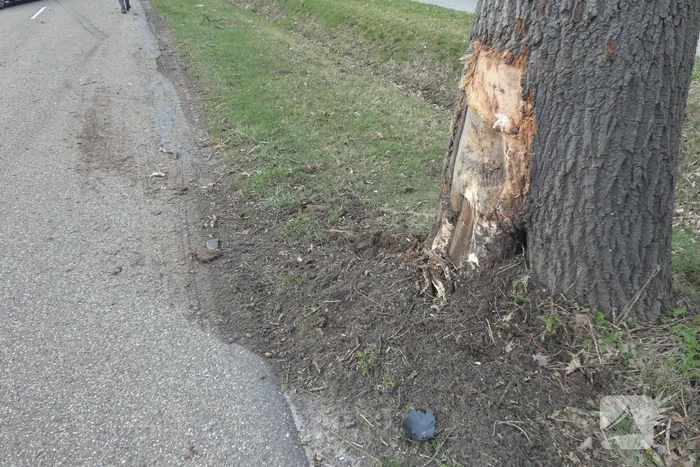 Persoon gewond bij botsing met boom