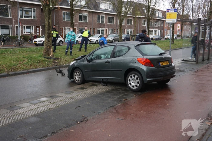 Personenauto botst tegen boom