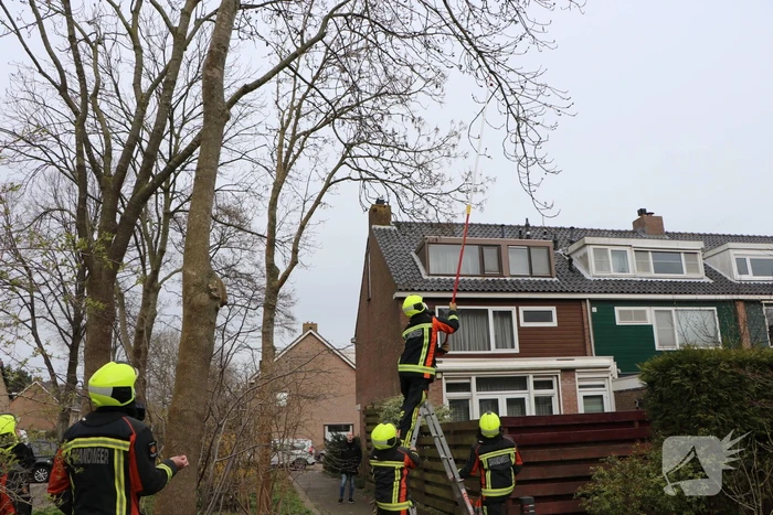 Brandweer verwijderd los hangende tak