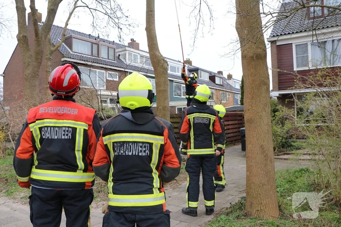 Brandweer verwijderd los hangende tak