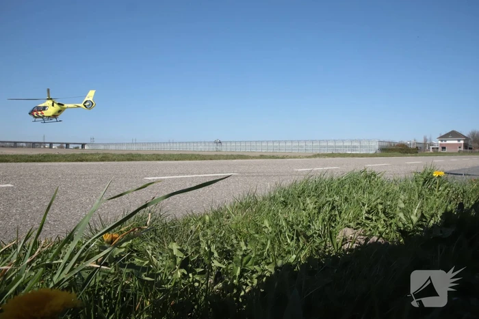 nieuws petuniaweg bleiswijk