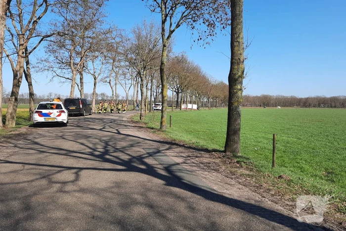 Bestuurder overleden na aanrijding tegen boom