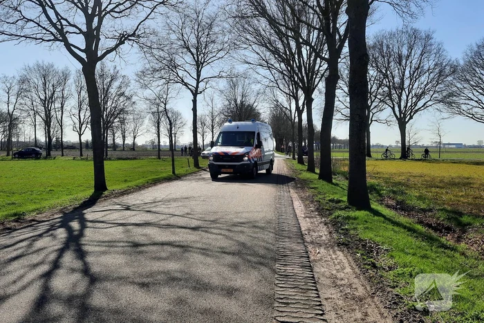 Bestuurder overleden na aanrijding tegen boom
