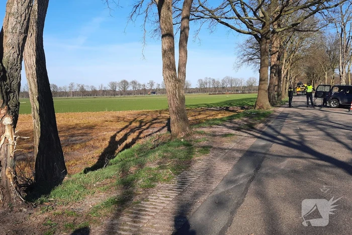 Bestuurder overleden na aanrijding tegen boom