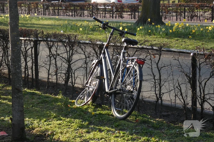 Fietser gewond bij botsing