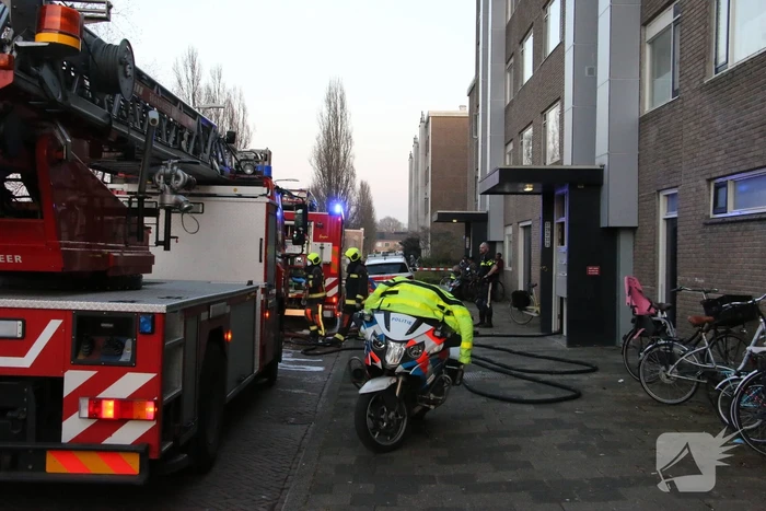 Brand in flatwoning