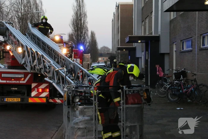 Brand in flatwoning