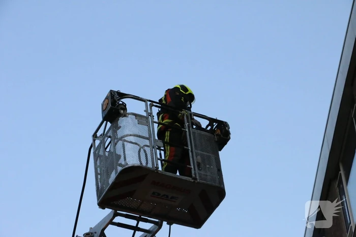 Brand in flatwoning