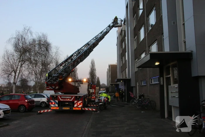 Brand in flatwoning