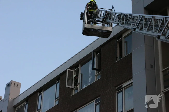Brand in flatwoning