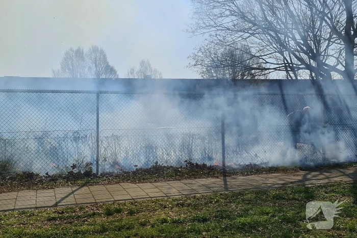Brand ontstaan in berm