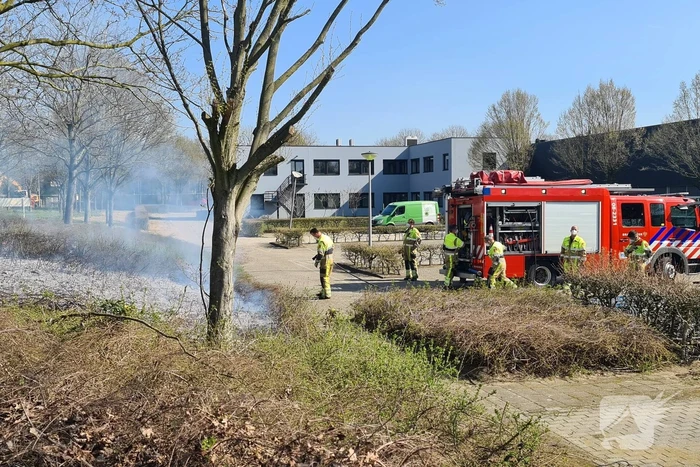 Brand ontstaan in berm