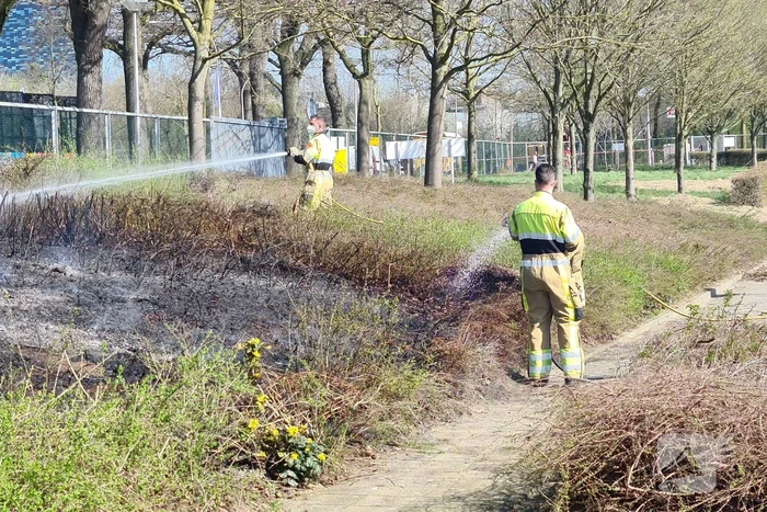 Brand ontstaan in berm