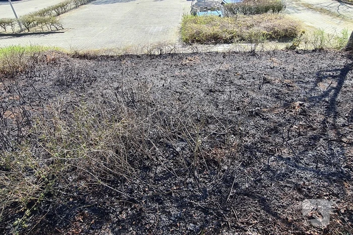 Brand ontstaan in berm