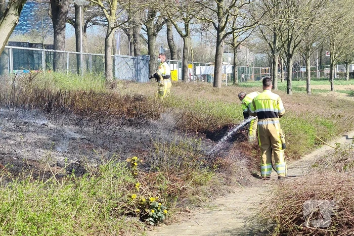 Brand ontstaan in berm