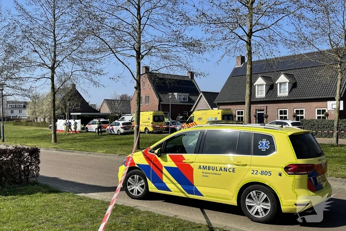 Kind doodgereden door bestelbus