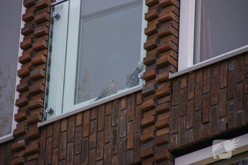Drentsestraat Nieuws Amersfoort 