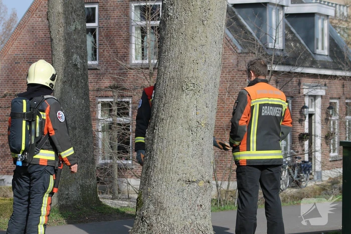 Brandweer doet onderzoek naar gaslucht in woning
