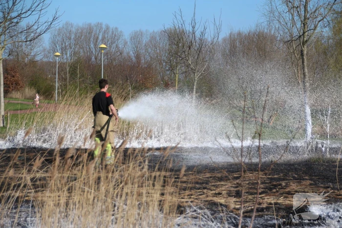 Stuk veld beschadigd door brand