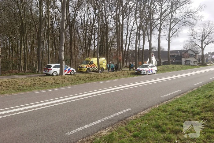 Wielrenners gewond bij botsing met wild zwijn