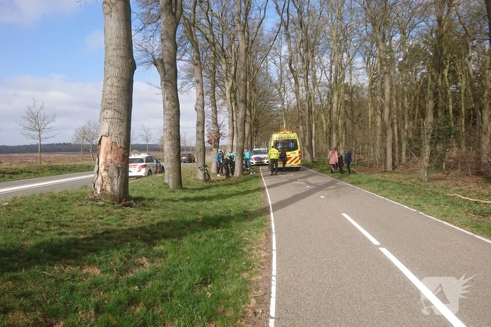Wielrenners gewond bij botsing met wild zwijn