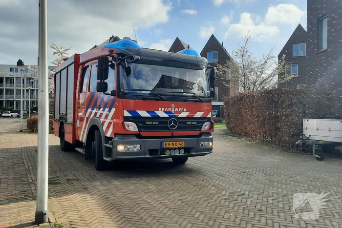 Twee ara's uit boom gered