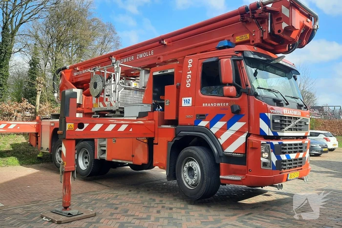 Twee ara's uit boom gered