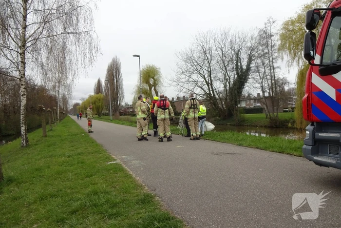 Reddingsactie voor zwaan met visdraad