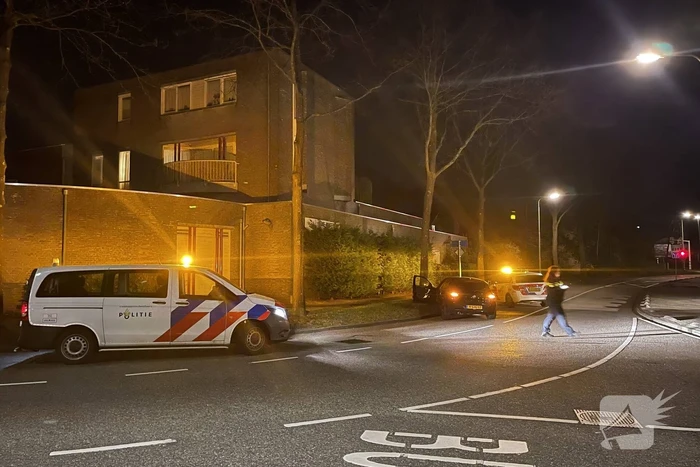Auto vliegt uit de bocht en knalt tegen boom