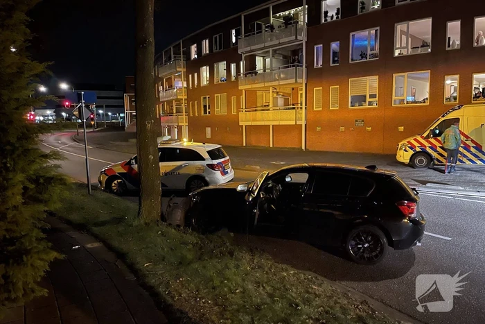 Auto vliegt uit de bocht en knalt tegen boom