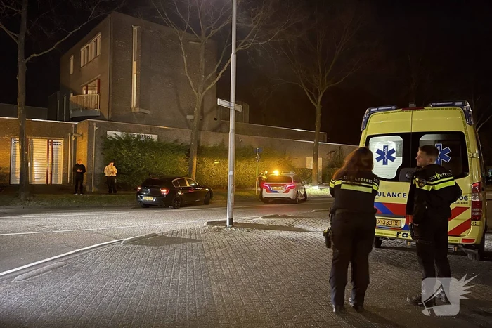 Auto vliegt uit de bocht en knalt tegen boom