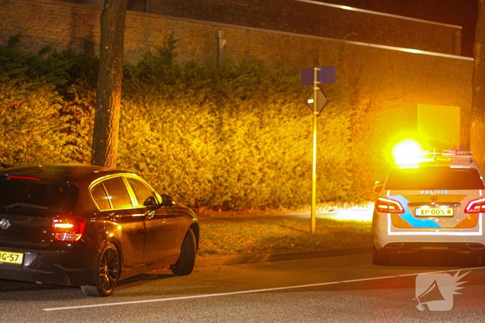Auto vliegt uit de bocht en knalt tegen boom