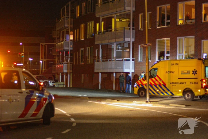 Auto vliegt uit de bocht en knalt tegen boom