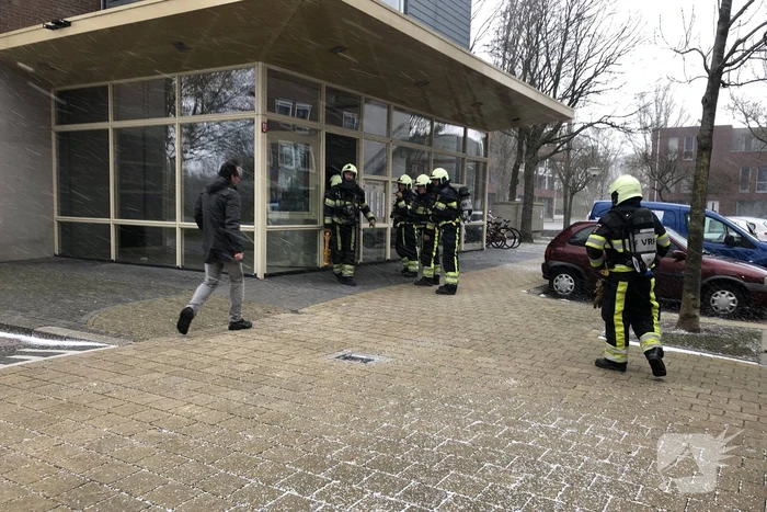 Brand in flatwoning