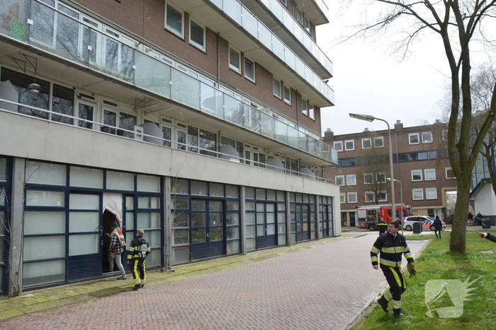Brand in flatwoning